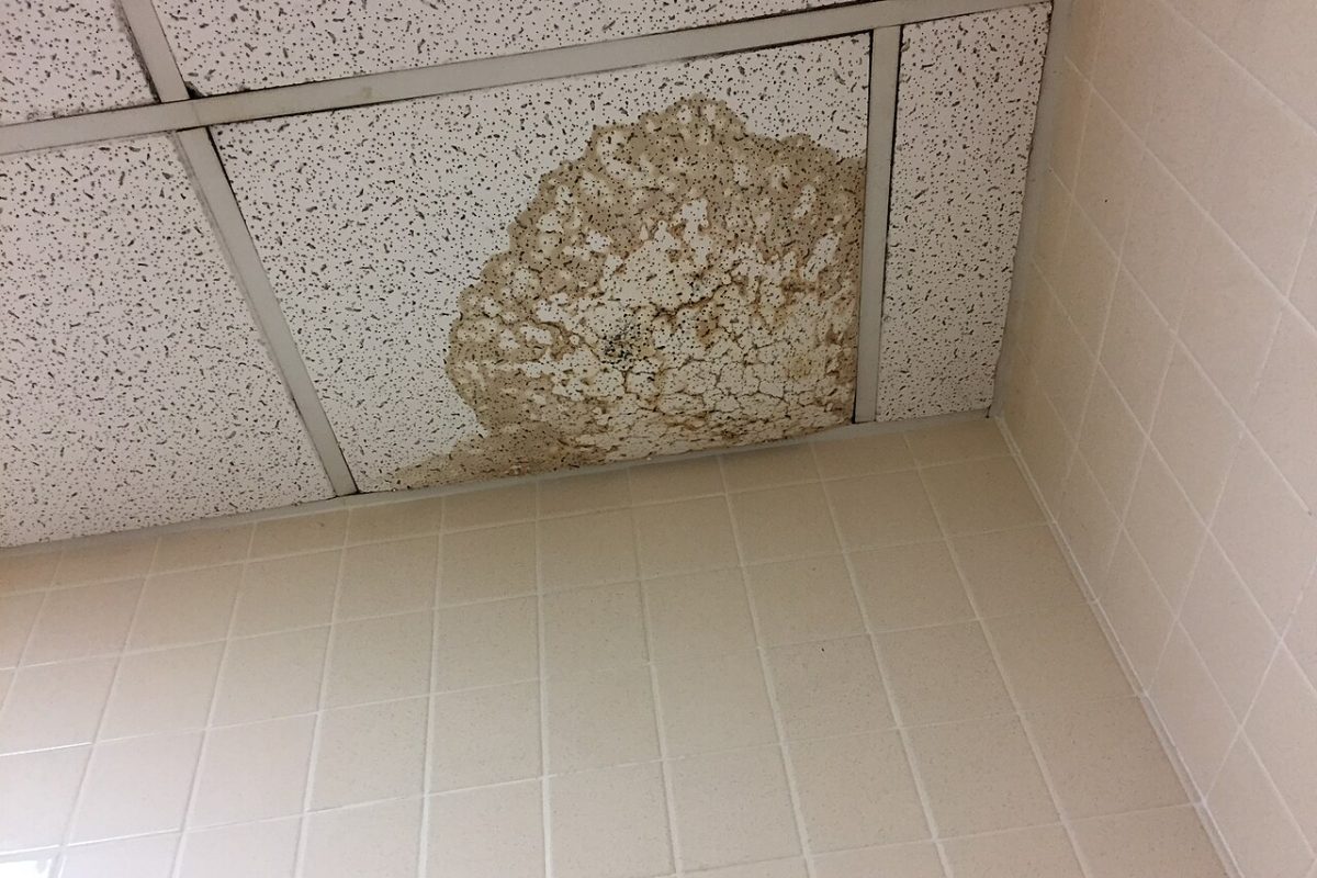 Techo dañado por una fuga de agua