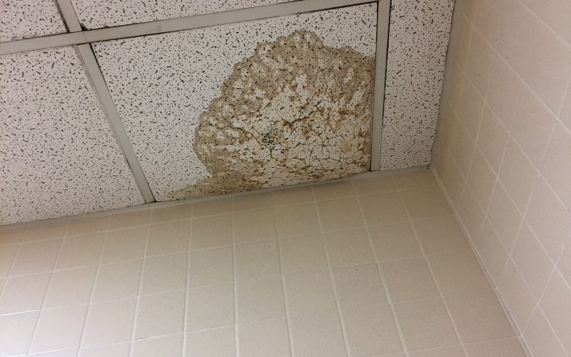 Techo dañado por una fuga de agua